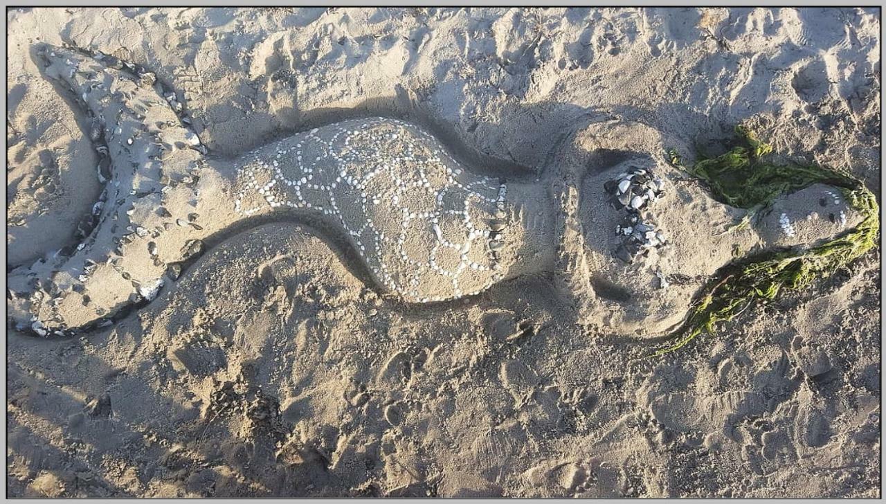דראנסקה Ddr Wohnwagen Qek Direkt Am Strand מראה חיצוני תמונה